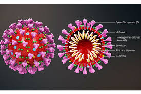 COVID-19 Infections Hit More Than 40,000, Deaths Spike to 848