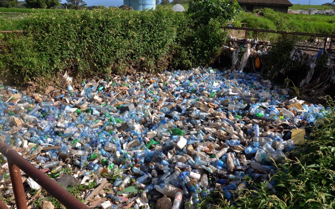 Single-Use Plastics Banned from Kenya Beaches and Parks